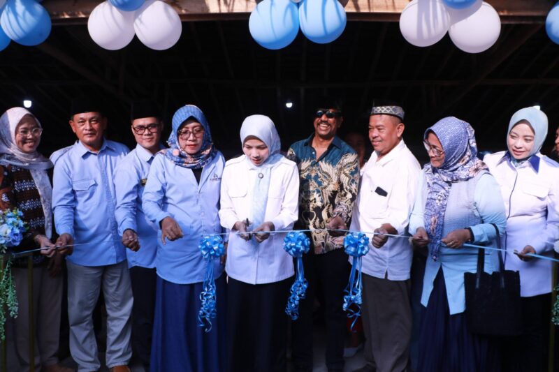 Bupati Serang Ratu Zakiyah resmikan Pusat Oleh-oleh Khas Banten di Rest Area KM 142 wisata Pantai Anyer-Cinangka dan Gebyar UMKM Kabupaten Serang, Rabu (23/7/2025).