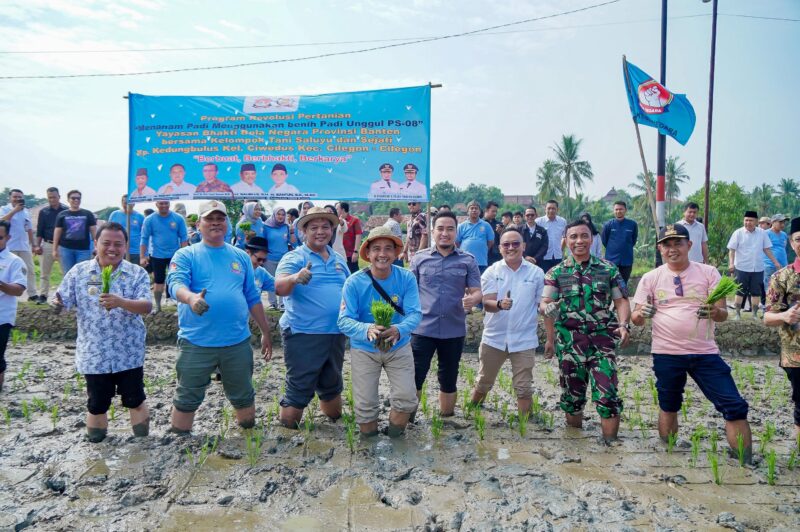 Walikota Cilegon Robinsar hadiri acara Program Revolusi Pertanian Menanam Padi dengan benih unggul PS 08 yang digelar Yayasan Bhakti Bela Negara di RM H. Jeje, Jalan Kali Kalong, Linkungan Kedungbulus, Kamis (31/7/2025).