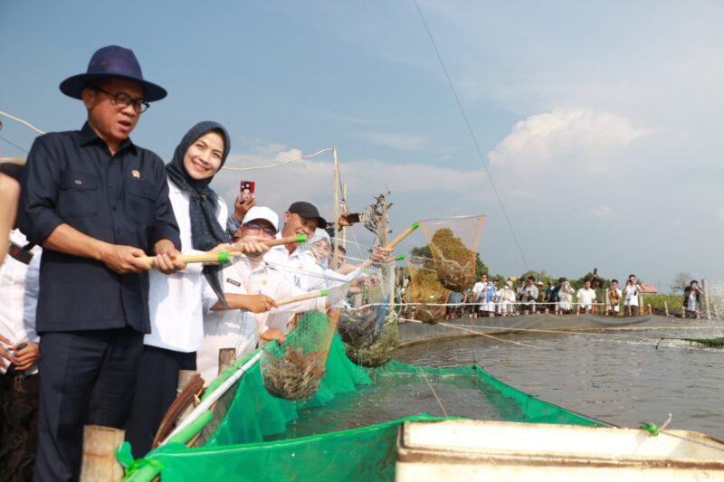 Bupati Serang Ratu Zakiyah saat meninjau Panen Udang Vaname Budidaya Sistem Bioflok di Desa Domas, Pontang, Rabu, 2 Juli 2025.