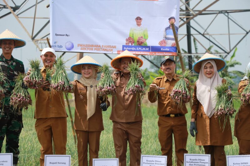 Bupati Serang Ratu Zakiyah Meluncurkan Program Ratu Tani Bahagia sebagai Gerakan Tanam dan Panen Bawang Merah di Desa Toyomerto, Kecamatan Kramatwatu, Senin, 7 Juli 2025.